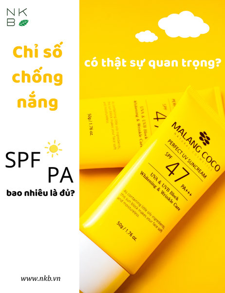 anh_dai_dien_web_blog__6__365a19c0fa5f44ccb962f7b8e56203e1_grande